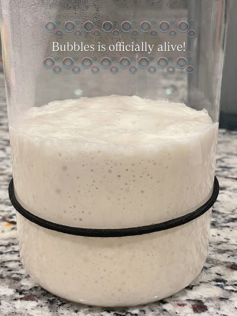 I’m so proud 🥹 2 weeks old and finally doubled!! 

#sourdoughstarter #baking #bubbles #sourdough #fromscratch