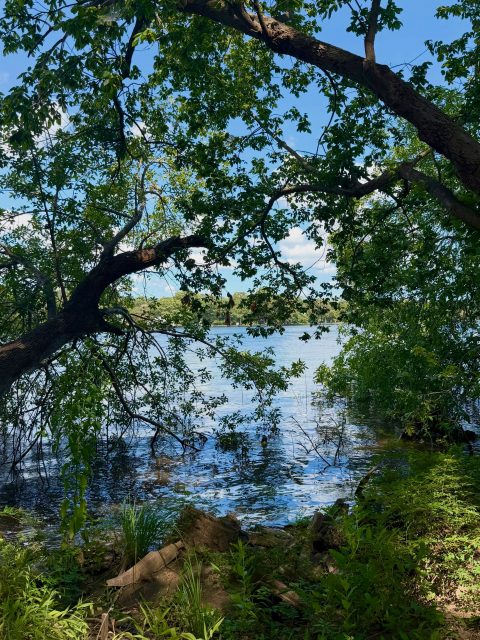 “The earth has its music for all who will listen.” - Reginald Holmes