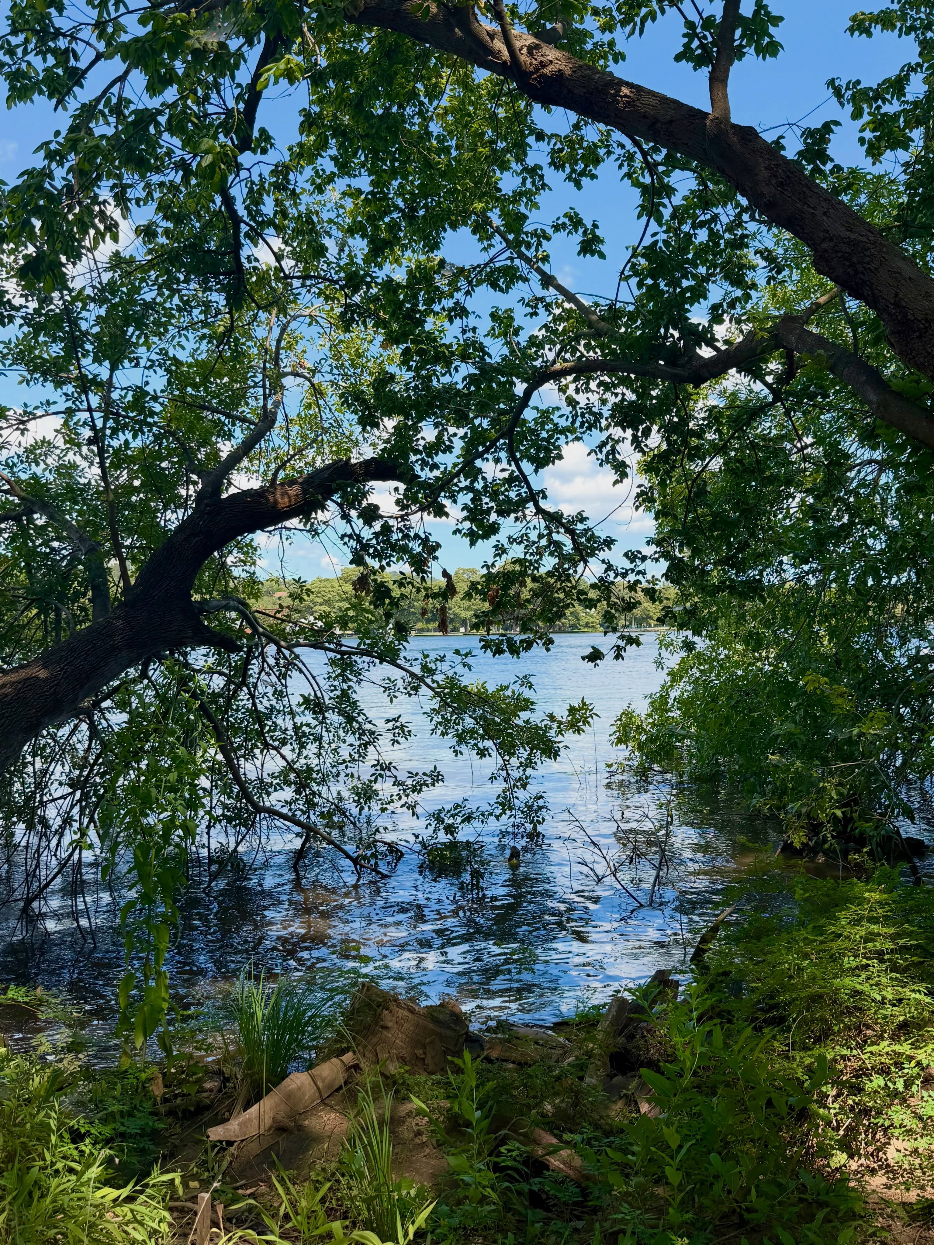 “The earth has its music for all who will listen.” - Reginald Holmes