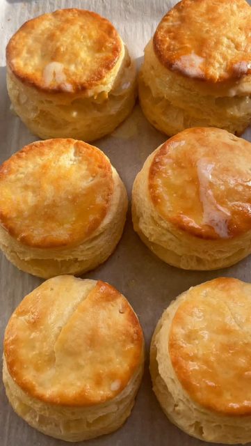 Southern Buttermilk Biscuits

2 3/4 Cups White Lily AP Flour 
2 1/2 tsp Baking Powder
1/2 tsp Kosher Salt
3/4 Cup Whole-Fat Buttermilk
2 Tbsp Honey
8 Tbsp Salted Butter (1 Stick)

*if using different brand AP flour start at 2 1/4 C so dough doesn’t get too dense*

Preheat your oven to 425F. Line a large cookie sheet with parchment paper. In a large bowl, whisk the dry ingredients (flour, baking powder, and salt) until well mixed. 

Slice the stick of butter into tablespoons chunks. Using a pastry cutter or two large forks, cut in the butter until the mixture it looks like coarse grits. 

Cover and place butter/dry ingredient mix into the freezer to chill for at least 15 minutes. The butter needs to be cold in order to help the biscuits rise correctly.

Whisk together the honey and the buttermilk.

After chilling, pour the buttermilk/honey mix into the dry mix. Mix until just moist; if the mix is not fully coming together (lots of little crumbles still in the bowl), add a small splash of buttermilk. Do not over-mix. It should be a smooth thick dough and you should still see chunks of butter. 

Generously flour a cutting board or a clean kitchen counter and your rolling pin. Roll dough out to about 1/2-3/4 inch thick. Fold the dough like if you were folding a letter. Flip dough over. Do this 3 times. Roll the dough out one last time to no thinner than 3/4 inch thick. Use your biscuit cutter or large cup. If you have extra dough, you can repeat the process. This should yield 5-6 biscuits. 

Place biscuits on the lined cookie sheet and bake on the center rack for 12-15 minutes or until golden brown on top. When you take them out of the oven, brush the tops with melted butter. 

Serve however you want! We do biscuits and gravy or with butter and jelly on top😊

#instafood #buttermilkbiscuits #homecooking #yummy #easyrecipeideas